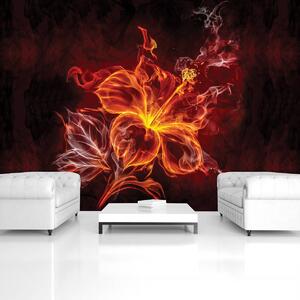 Foto tapeta - Cvijet - vatra i dim (152,5x104 cm)