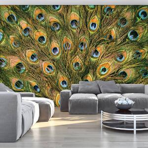 Foto tapeta - Paunovo perje (152,5x104 cm)