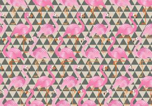 Foto tapeta - Flamingo (152,5x104 cm)