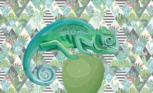 Foto tapeta - Kameleon (152,5x104 cm)