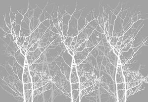 Foto tapeta - Obrisi stabla (152,5x104 cm)