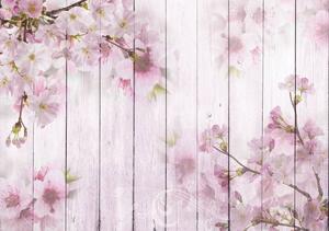 Foto tapeta - Na daskama cvjeta višnja (152,5x104 cm)