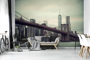 Foto tapeta - Manhattan (152,5x104 cm)