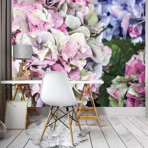 Foto tapeta - Pastelno cvijeće (152,5x104 cm)
