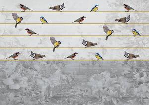 Foto tapeta - Ptice na zlatnoj žici (152,5x104 cm)