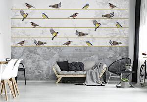 Foto tapeta - Ptice na zlatnoj žici (152,5x104 cm)