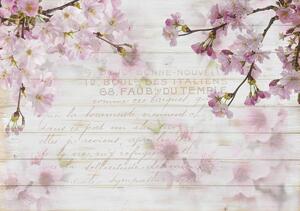 Foto tapeta - Trešnjin cvijet (152,5x104 cm)