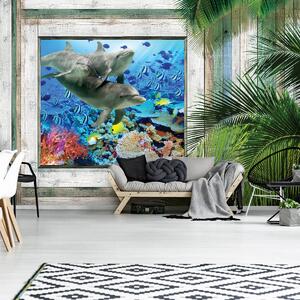 Foto tapeta - Dupini love ribu pod morem (152,5x104 cm)