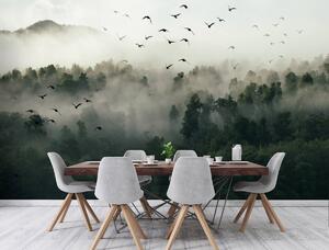 Foto tapeta - Ptice, šuma i magla (152,5x104 cm)