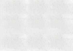 Foto tapeta - Bijele cigle (152,5x104 cm)
