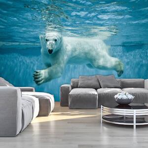 Foto tapeta - Polarni medvjed (152,5x104 cm)
