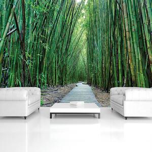 Foto tapeta - Bambus (152,5x104 cm)
