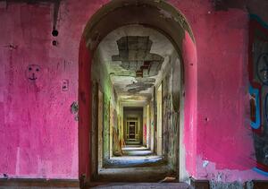 Foto tapeta - Ulazna vrata u ružičasti hodnik (152,5x104 cm)