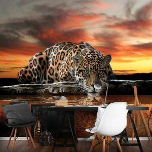 Foto tapeta - Jaguar (152,5x104 cm)