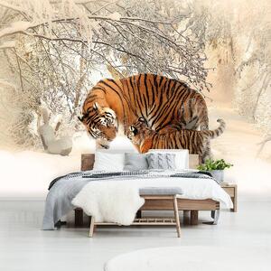 Foto tapeta - Tigrovi u snijegu (152,5x104 cm)