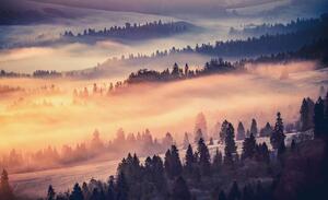 Foto tapeta - Šuma u magli (152,5x104 cm)