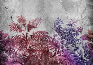 Foto tapeta - Biljke na betonu - ljubičasta (152,5x104 cm)