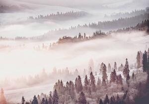 Foto tapeta - Šuma u magli (152,5x104 cm)