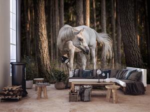 Foto tapeta - Bijeli konj u šumi (152,5x104 cm)