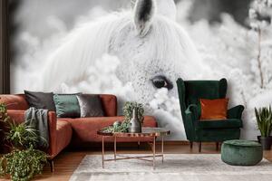 Foto tapeta - Bijeli konj u snijegu (152,5x104 cm)