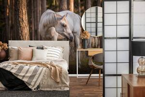 Foto tapeta - Bijeli konj u šumi (152,5x104 cm)