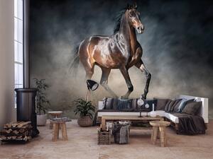 Foto tapeta - Smeđi konj (152,5x104 cm)