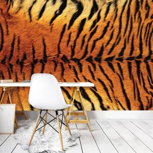 Foto tapeta - Uzorak tigra (152,5x104 cm)