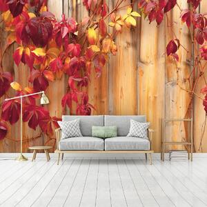 Foto tapeta - Jesenje lišće (152,5x104 cm)
