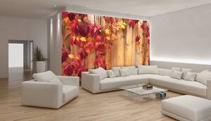 Foto tapeta - Jesenje lišće (152,5x104 cm)