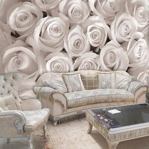 Foto tapeta - Bijele ruže (152,5x104 cm)