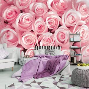 Foto tapeta - Ružičaste ruže (152,5x104 cm)