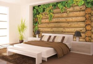 Foto tapeta - Zid od drvenih trupaca (152,5x104 cm)