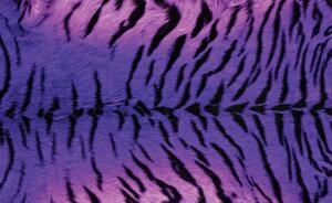 Foto tapeta - Tigar (152,5x104 cm)