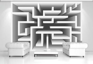 Foto tapeta - 3D labirint (152,5x104 cm)