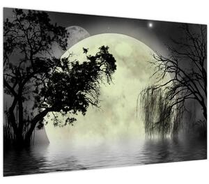 Slika - Polna luna nad površjem, črno-bela različica (90x60 cm)