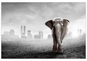 Slika - Sloni v velemestu, črno-bela različica (90x60 cm)
