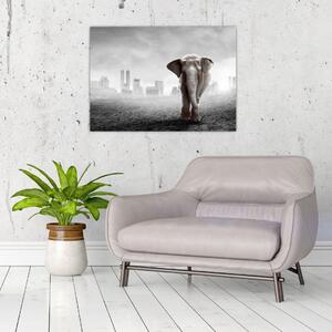 Slika - Sloni v velemestu, črno-bela različica (70x50 cm)