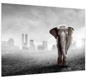 Slika - Sloni v velemestu, črno-bela različica (70x50 cm)