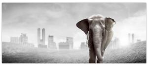 Slika - Sloni v velemestu, črno-bela različica (120x50 cm)
