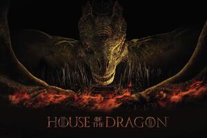 Ilustracija House of the Dragon - Dragon's fire
