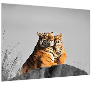 Slika - Tigrica in njen mladič, črno-bela različica (70x50 cm)