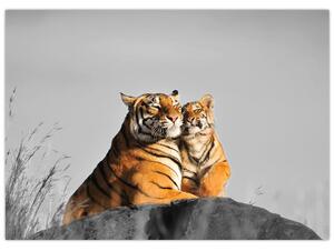 Slika - Tigrica in njen mladič, črno-bela različica (70x50 cm)