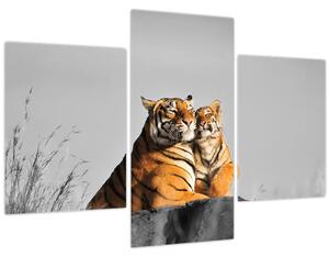Slika - Tigrica in njen mladič, črno-bela različica (90x60 cm)