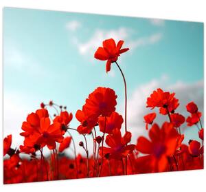 Slika polja s svetlo rdečimi cvetovi (70x50 cm)
