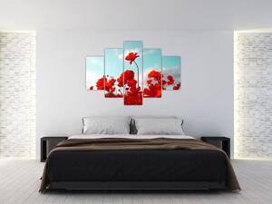 Slika polja s svetlo rdečimi cvetovi (150x105 cm)
