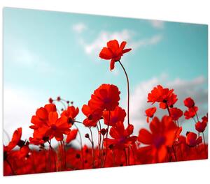 Slika polja s svetlo rdečimi cvetovi (90x60 cm)