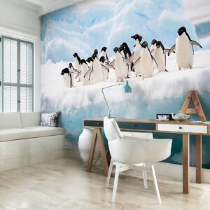 Foto tapeta - Pingvini (152,5x104 cm)