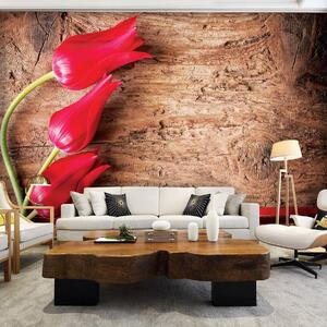Foto tapeta - Tulipan, drvo, čipka (152,5x104 cm)