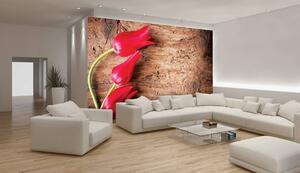 Foto tapeta - Tulipan, drvo, čipka (152,5x104 cm)