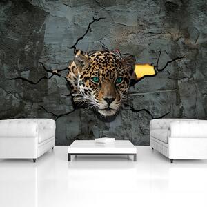 Foto tapeta - Jaguar iza cementnog zida (152,5x104 cm)